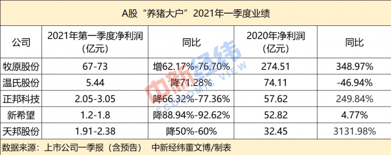 猪价连降养猪大户一家欢喜多家愁还能坚强吗