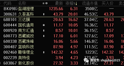 多股涨停盐湖提锂细分概念爆发这项提锂技术将加速落地（附股）