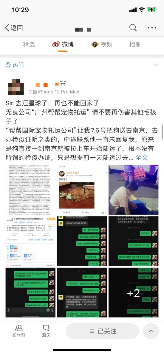 帮帮货运收空运钱走陆运致金毛犬死亡广州市监部门介入